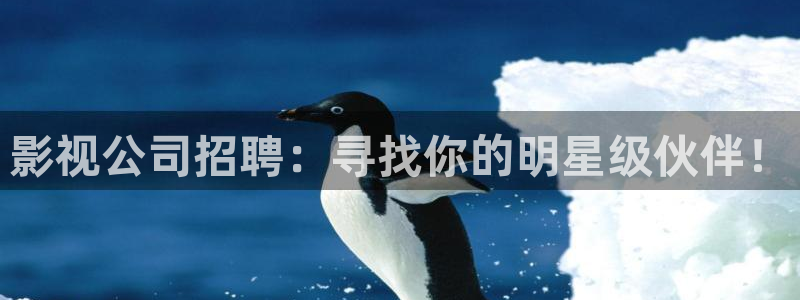 tvb专区天龙影院：影视公司招聘：寻找你的明星级伙伴！