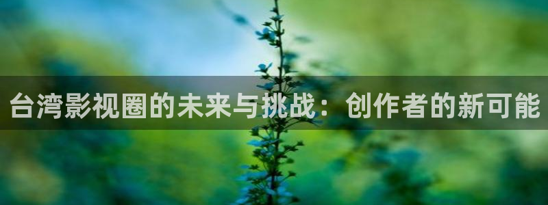 天龙天龙：台湾影视圈的未来与挑战：创作者的新可能