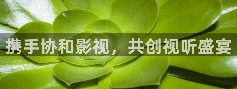 天龙影院樱花：携手协和影视，共创视听盛宴