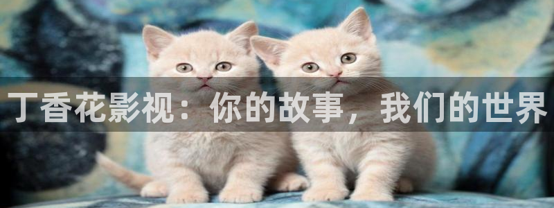 天龙远古影院在线观看：丁香花影视：你的故事，我们的世界
