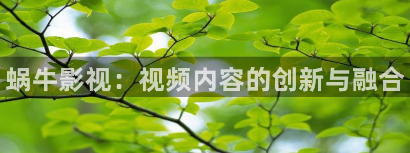 电视剧天龙八部全集在线观看免费：蜗牛影视：视频内容的创新与融合