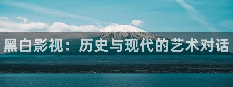 天龙影院电视剧免费观看：黑白影视：历史与现代的艺术对话