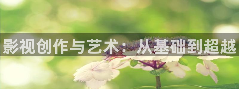 天龙影院免费电影：影视创作与艺术：从基础到超越