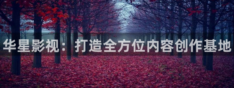远古电影天龙高清影院官网观看：华星影视：打造全方位内容创作基地