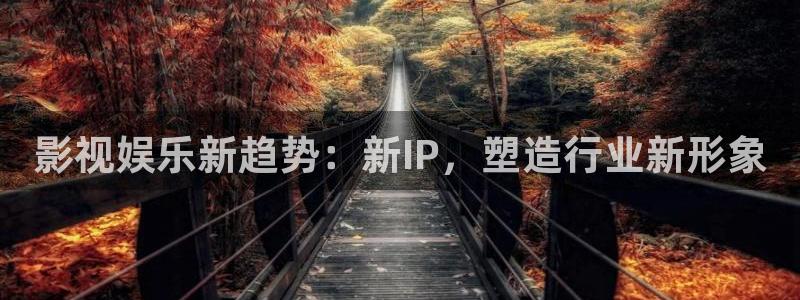 天龙官网：影视娱乐新趋势：新IP，塑造行业新形象