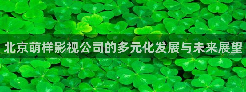 天龙影视免费：北京萌样影视公司的多元化发展与未来展望