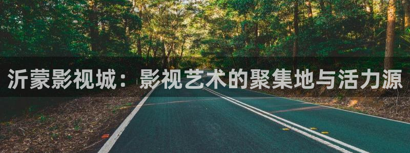 天龙影院免费在线观看电视剧：沂蒙影视城：影视艺术的聚集地与活力源