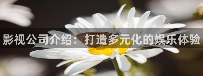 天龙远古高清影院官网：影视公司介绍：打造多元化的娱乐体验